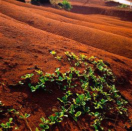 前BioWare编剧讨论《质量效应》三部曲早期结局构思
